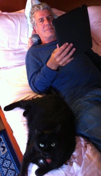 Bourdain & his cat Lupetto