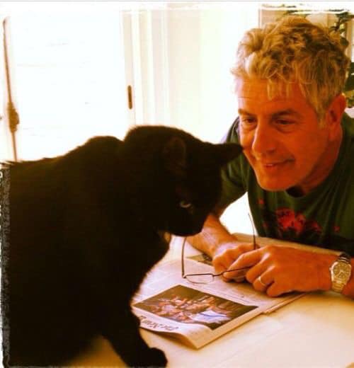 Bourdain & his black cat Lupetto